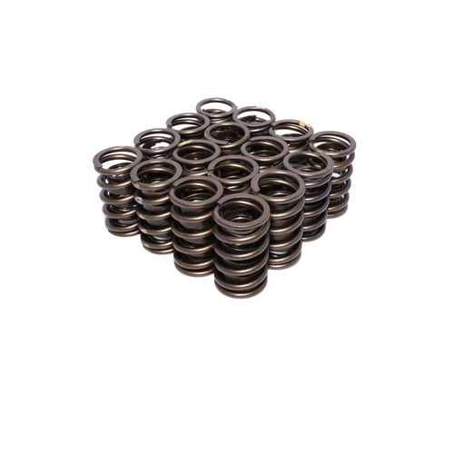 Dual Valve Springs 